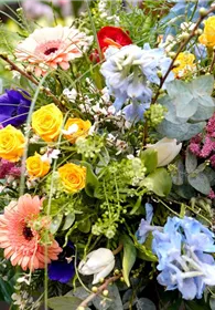 Pflanzen Mauk Gartencenter GmbH