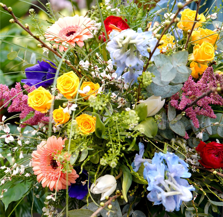 Pflanzen Mauk Gartencenter GmbH