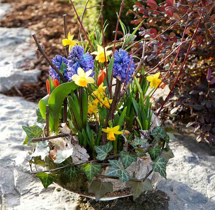 Pflanzen Mauk Gartencenter GmbH