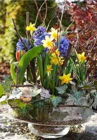 Pflanzen Mauk Gartencenter GmbH