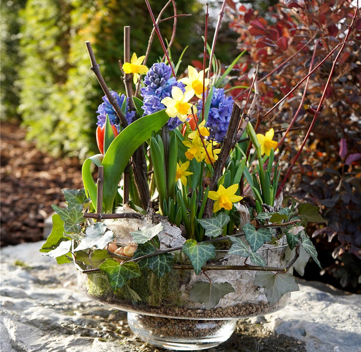 Pflanzen Mauk Gartencenter GmbH