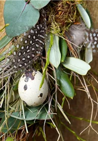 Pflanzen Mauk Gartencenter GmbH