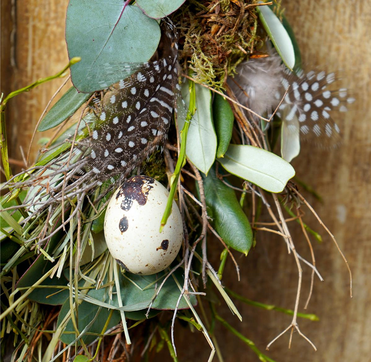 Pflanzen Mauk Gartencenter GmbH