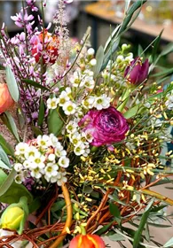 Pflanzen Mauk Gartencenter GmbH