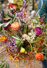 Pflanzen Mauk Gartencenter GmbH