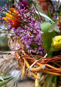 Pflanzen Mauk Gartencenter GmbH