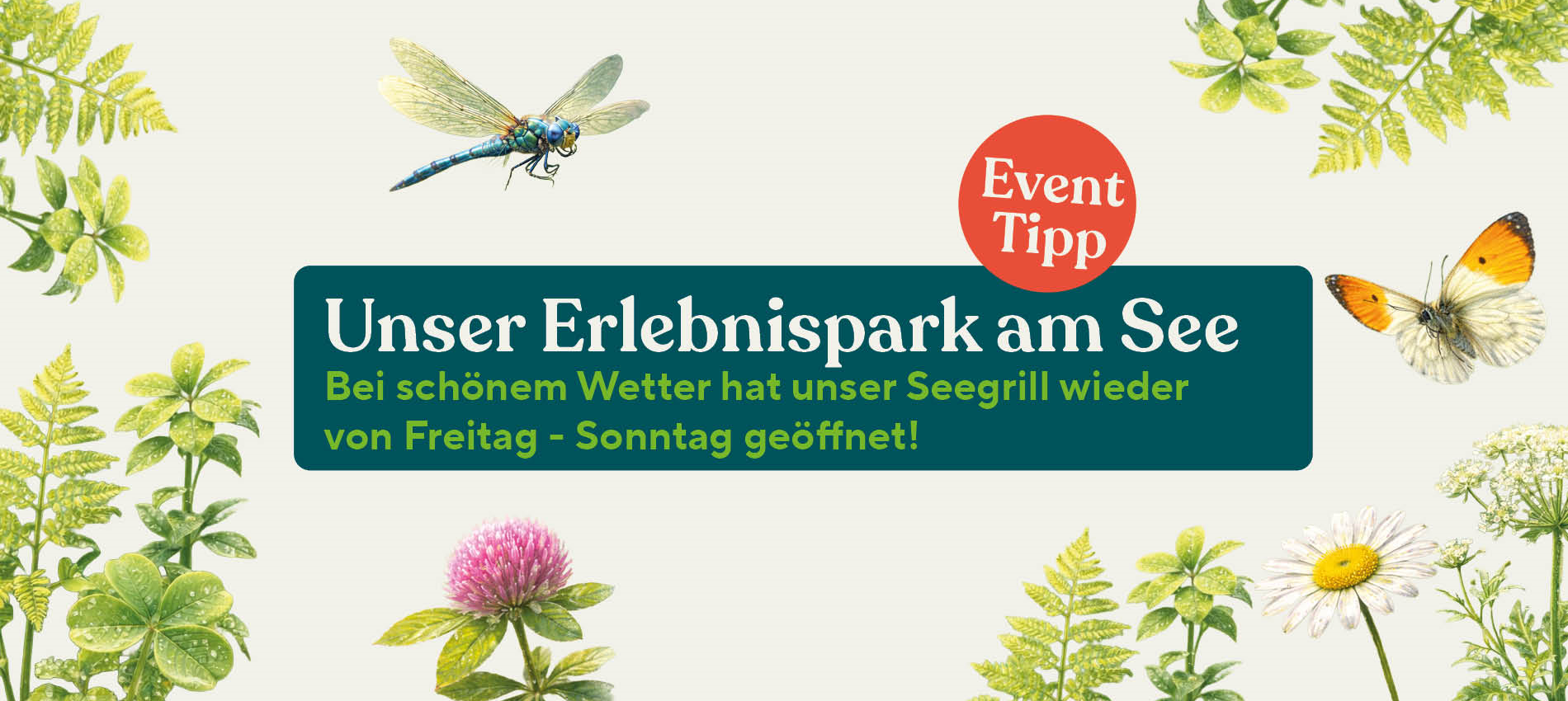 Seegrill wieder offen.jpg