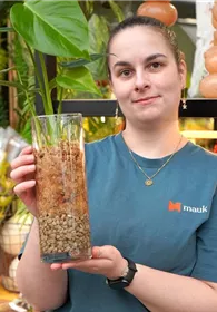 Pflanzen Mauk Gartencenter GmbH