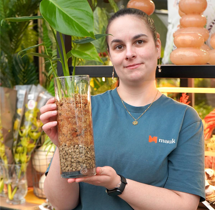 Pflanzen Mauk Gartencenter GmbH