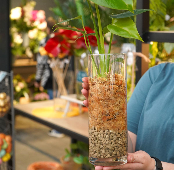 Pflanzen Mauk Gartencenter GmbH