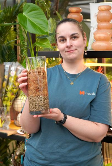 Workshop: Pflanze im Sphagnum-Moos