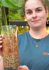 Pflanzen Mauk Gartencenter GmbH