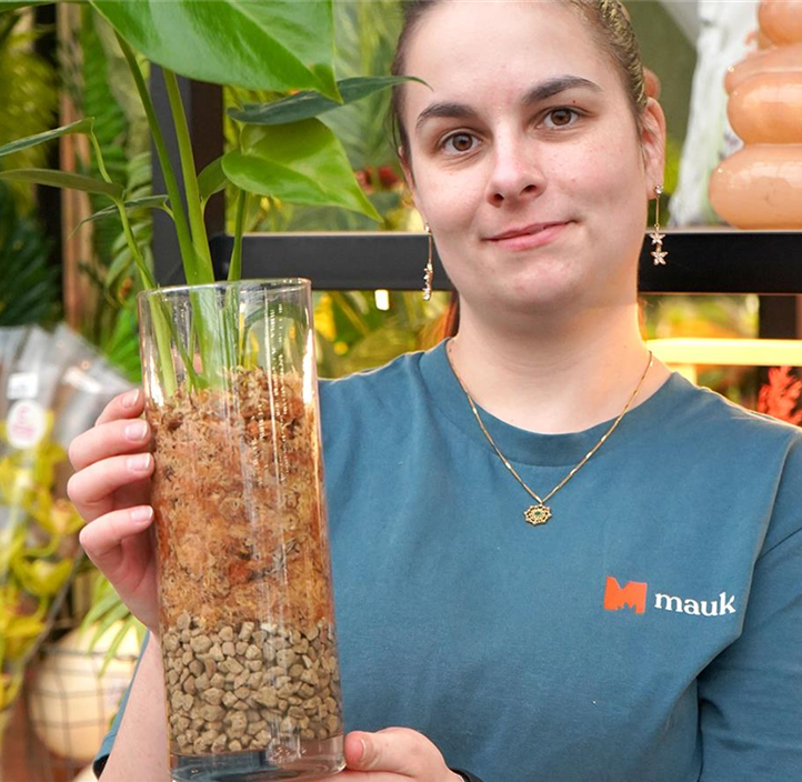 Pflanzen Mauk Gartencenter GmbH