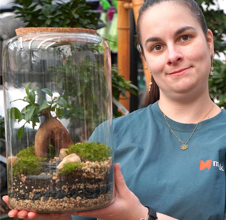 Pflanzen Mauk Gartencenter GmbH