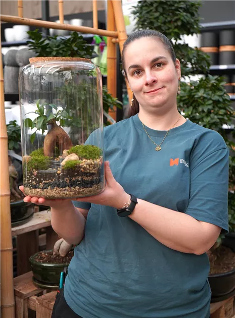 Workshop: 'Bonsai' im Glas