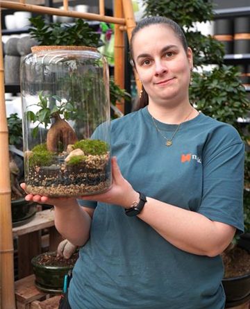 Workshop: 'Bonsai' im Glas