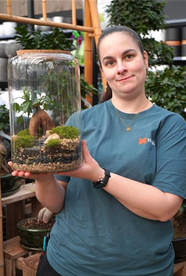 Workshop: 'Bonsai' im Glas