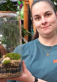 Pflanzen Mauk Gartencenter GmbH