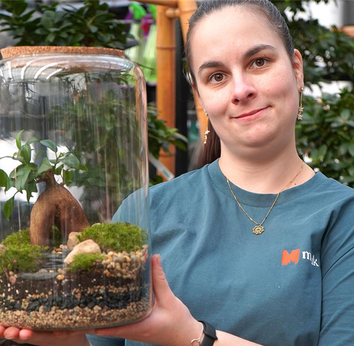 Pflanzen Mauk Gartencenter GmbH