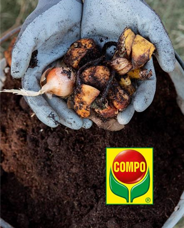 Compo Einpflanz-Aktion