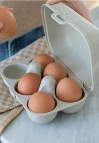 Pflanzen Mauk Gartencenter GmbH