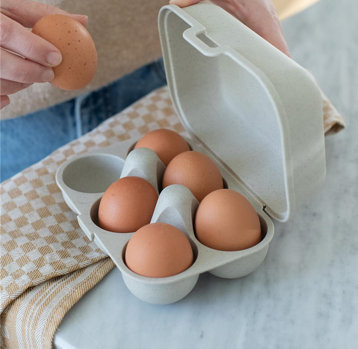 Pflanzen Mauk Gartencenter GmbH