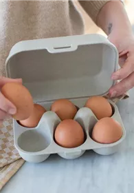 Pflanzen Mauk Gartencenter GmbH