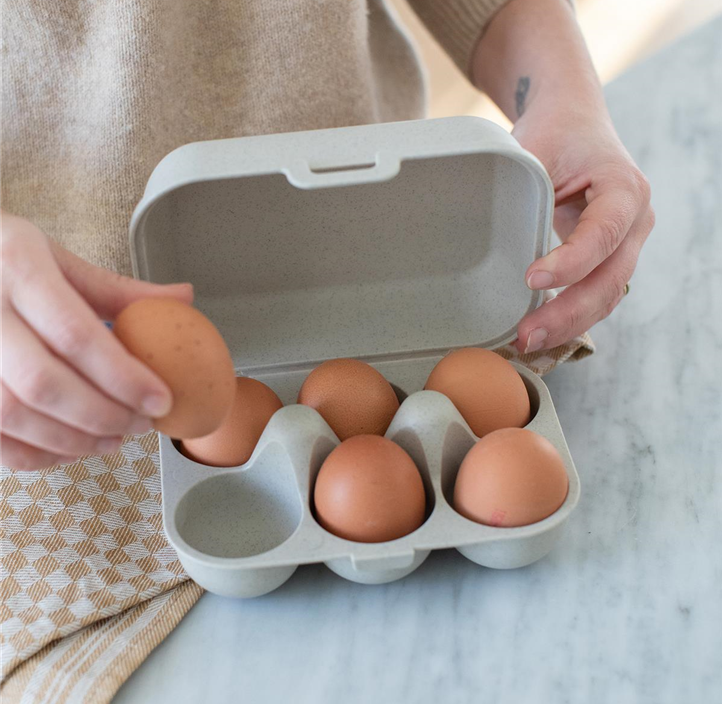 Pflanzen Mauk Gartencenter GmbH