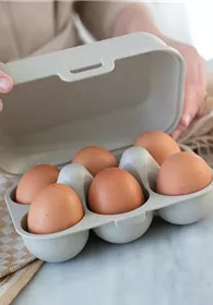 Pflanzen Mauk Gartencenter GmbH