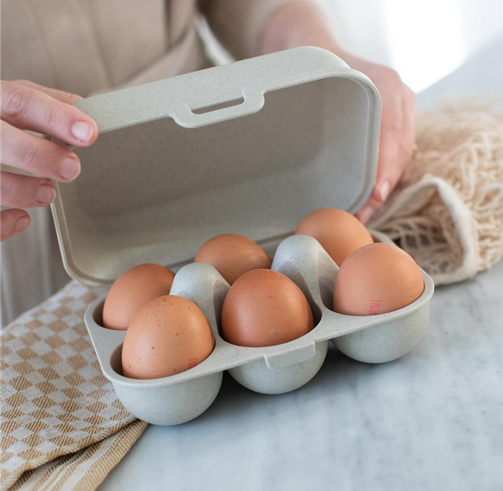 Pflanzen Mauk Gartencenter GmbH