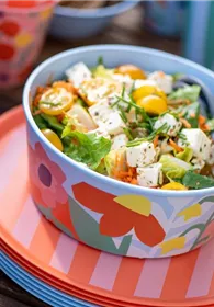 Pflanzen Mauk Gartencenter GmbH