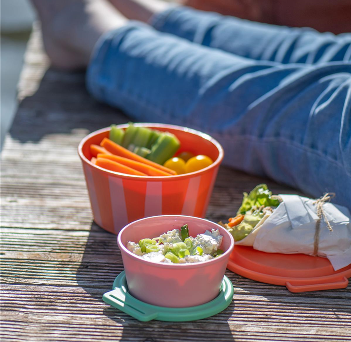 Pflanzen Mauk Gartencenter GmbH