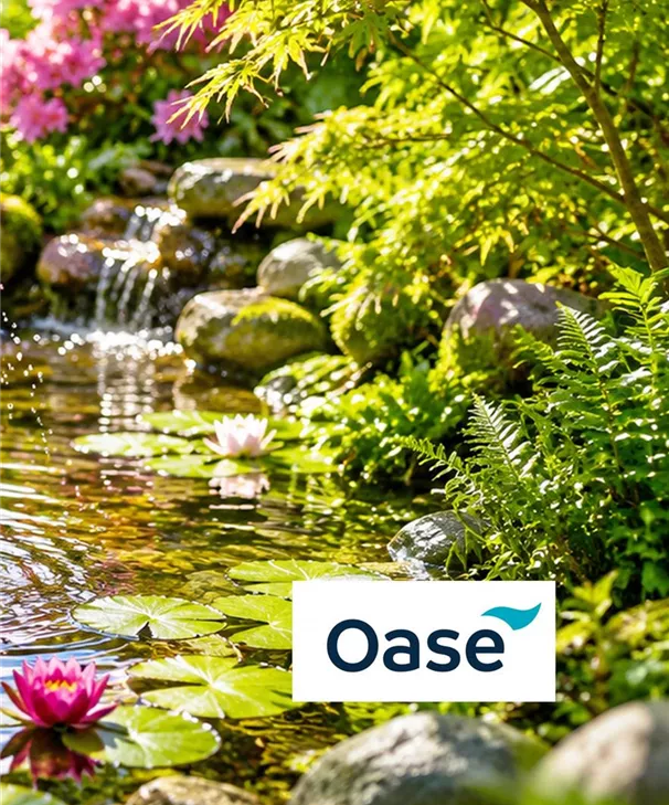 oase-gartenteich-beratung.jpg