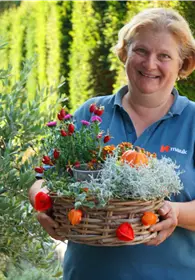 Pflanzen Mauk Gartencenter GmbH