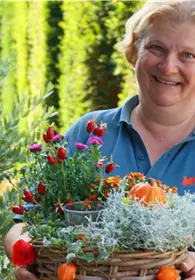 Pflanzen Mauk Gartencenter GmbH
