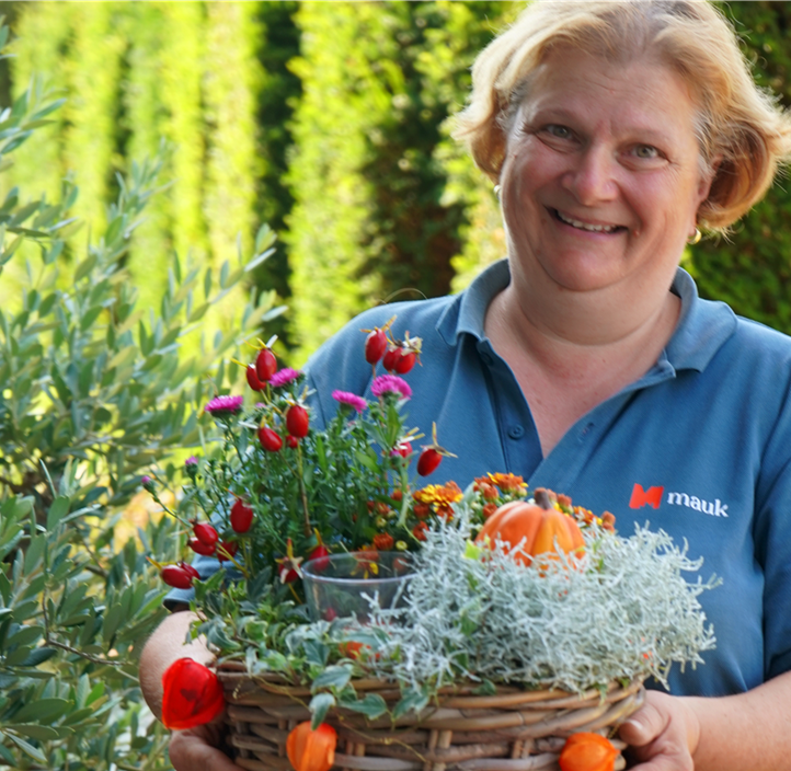 Pflanzen Mauk Gartencenter GmbH