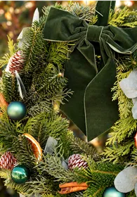 Pflanzen Mauk Gartencenter GmbH