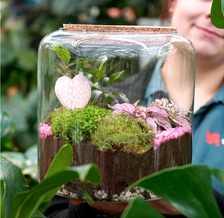 Pflanzen Mauk Gartencenter GmbH