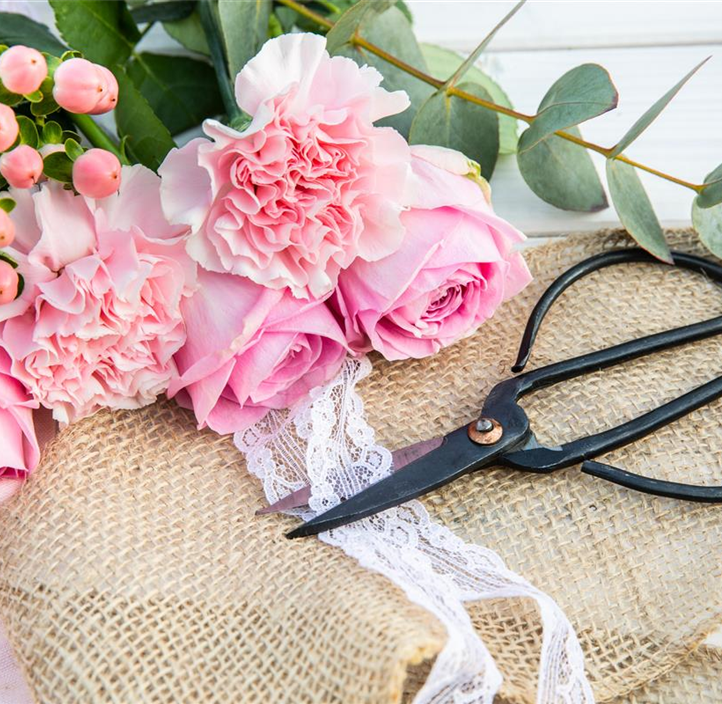 Pflanzen Mauk Gartencenter GmbH