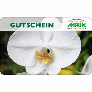 Gutscheinkarte Gartencenter Orchidee